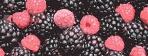 Cover photo for Blackberry and Raspberry Seasonal Checklist