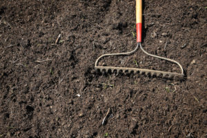 gardening