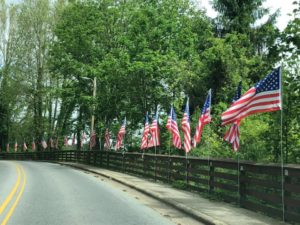 Cover photo for N.C. Cooperative Extension Raises Funds, Boosts Morale Amidst Shut-Downs