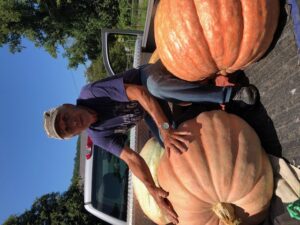 Raymond Norton with giant pumpkins on truck