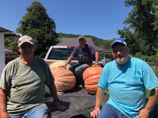 Three men with giant pumpkins loaded on truck