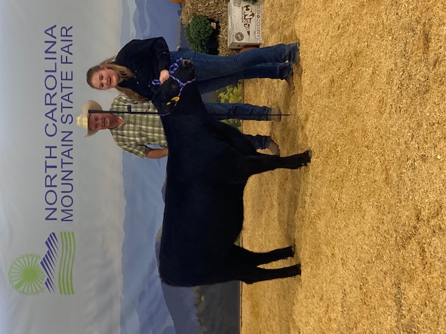 Girl with Dairy Steer at Mountain State Fair