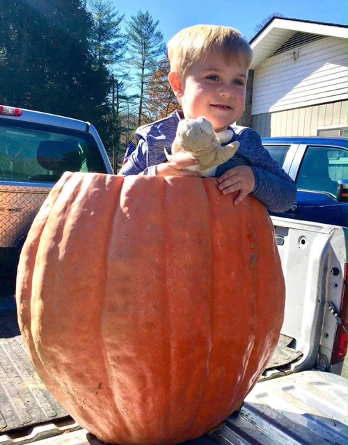 Child sitting in giant pumpkin