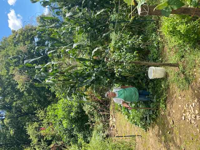 Extension Volunteer standing beside her garden