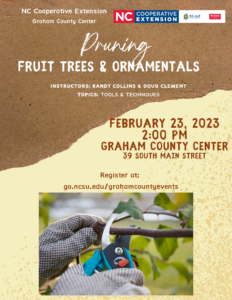 Pruning Workshop Flyer with information
