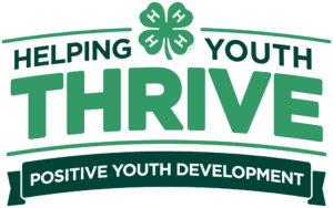 4- H helping youth thrive-positive youth development