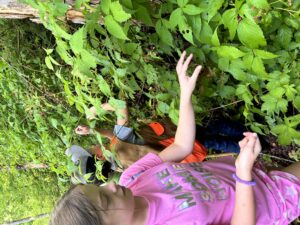 4-H'ers picking blackberries while on a hike