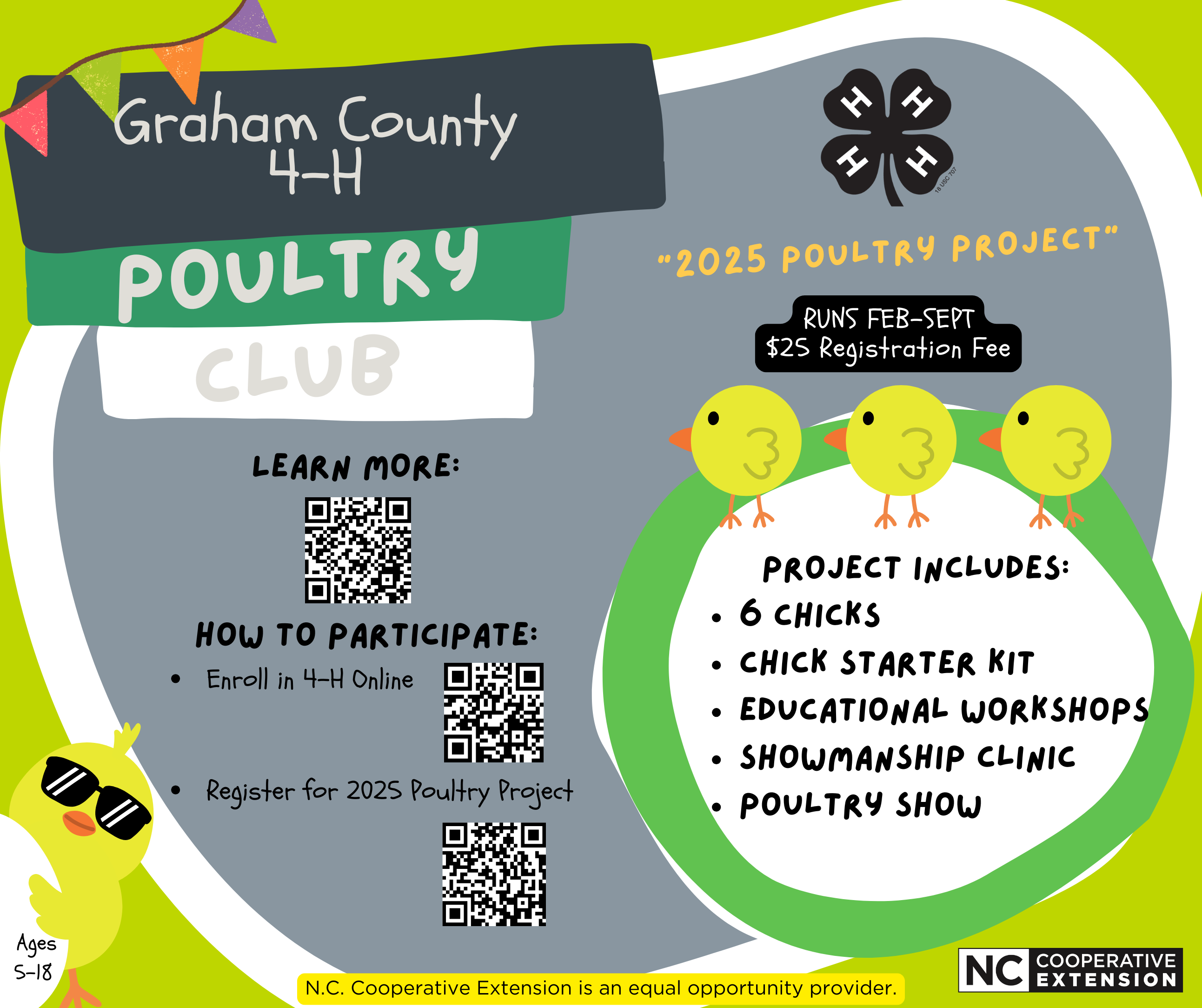 Colorful flyer encouraging youth to participate in Graham County 4-H Poultry Club. Flyer has pictures of chicks, and a chick with sunglasses hiding behind an egg.