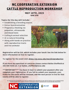 Repro Workshop in May (5)